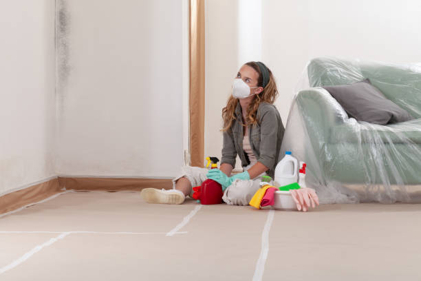 Reliable Mold Removal contractor in Plainview, NY by WQB Mold Removal